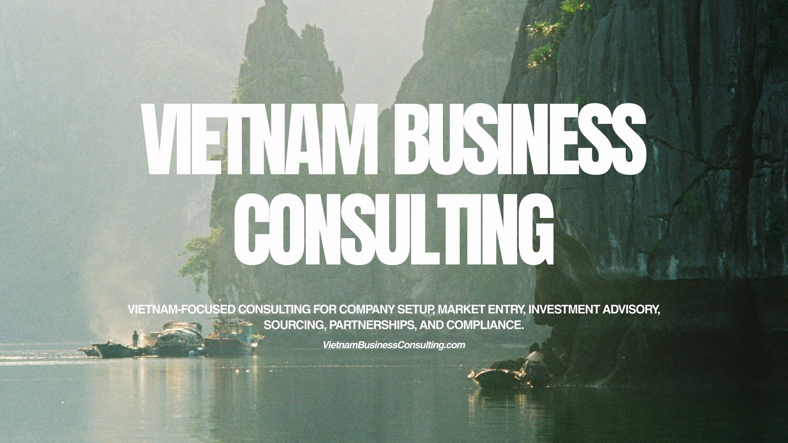 Vietnam Business Consulting